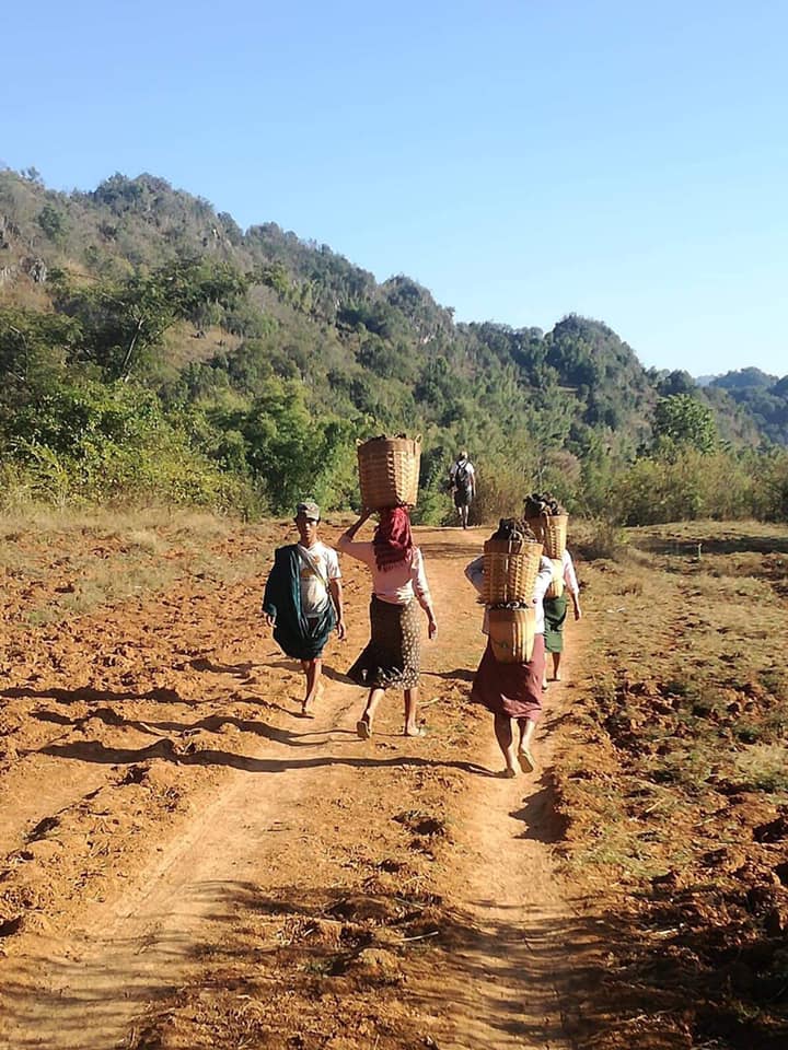 Nagaland Tribal Trek Tours 10 Days